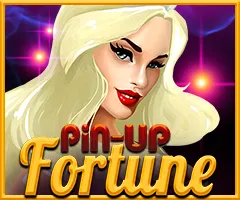 Pin Up — Пайдалану тәжірибесі